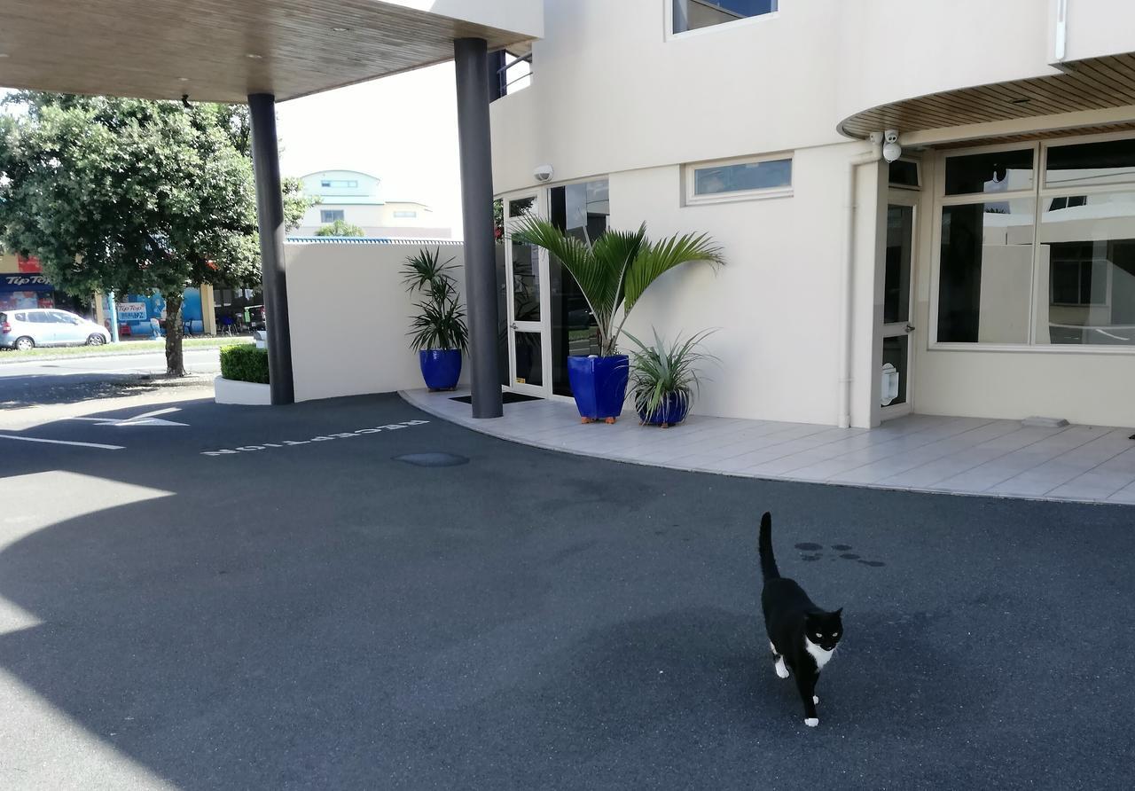 Pacific Motor Inn Маунт Маунгануи Екстериор снимка